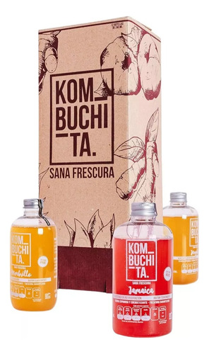 Te Kombucha Mix Pack 12 Botella 240 Ml Kombuchita