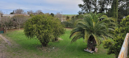 Imagen 7 de 30 de Quinta - Gualeguaychu