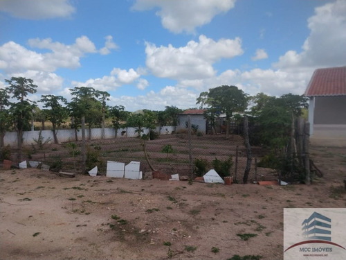 Imagem 4 de 30 de Granja A Venda Em Macaíba
