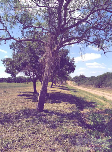 Terreno En  Entre Rios 