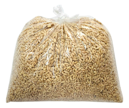 5kg Cebada Perla O Perlada Artesanal Hecha En Yucatán