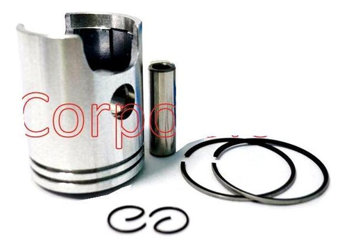 Piston 1.00 Dx100/bws100