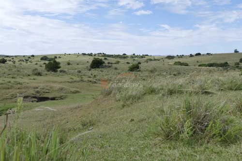 Ruta 39, A 47 Km De Punta Del Este, Venta De Campo Ganadero, Muy Panorámico Y Con Cañadas.