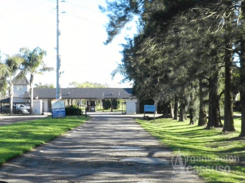 Imagen 2 de 4 de Terreno - Boca Raton