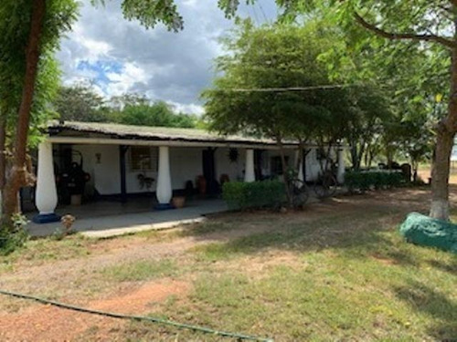 Imagen 2 de 23 de Venta De Finca Edo. Guarico, Pao Los Dos Caminos 1082 Hectáreas
