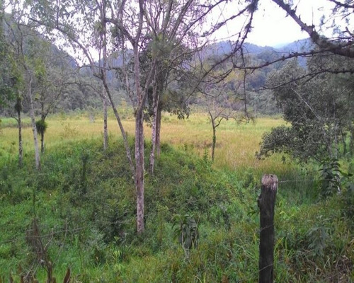 Imagem 12 de 30 de Fazenda - 0195 - 32820324