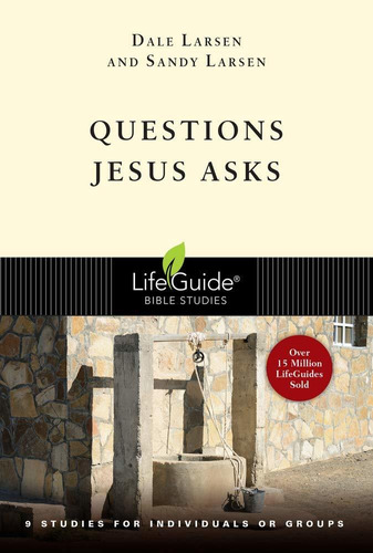 Questions Jesus Asks Nuevo