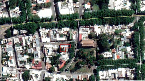 Locales Comerciales Alquiler Colonia Del Sacramento