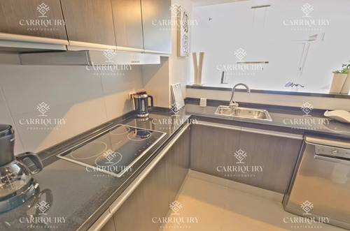 Apartamento En Alquiler Playa Brava