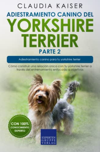 Adiestramiento Canino Del Yorkshire Terrier Parte 2: Como Co