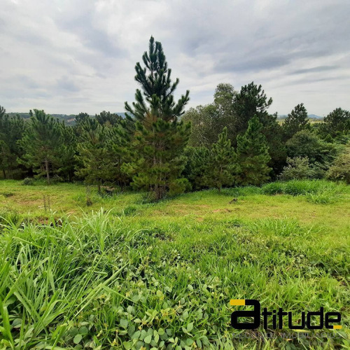 Imagem 9 de 14 de Terreno A Venda No Reserva Santa Anna. - 4836
