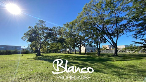 Imagen 4 de 11 de Oportunidad! Gran Lote De 785 Metros En Pilar Del Este - Santa Guadalupe