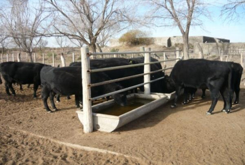 Imagen 2 de 14 de Campo - La Pampa Caleu Caleu