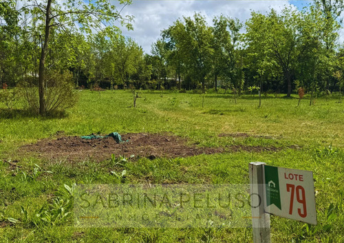Venta Lote - Las Tres Marias - Moreno - Ruta 25