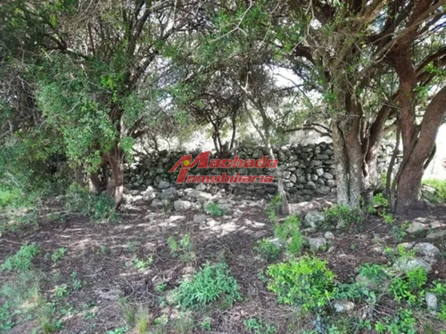 Imagen 4 de 15 de Venta De Chacra De 5 Hectareas En Paraje Las Cañas
