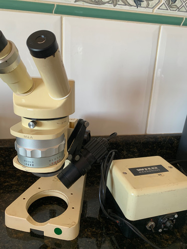 Microscopio Wild Heerbrugg Completo Para Entomologia!! Amarelo (Usado)