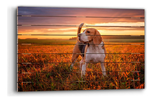 Cuadro De Madera Retrato De Perro Beagle 60x90cm