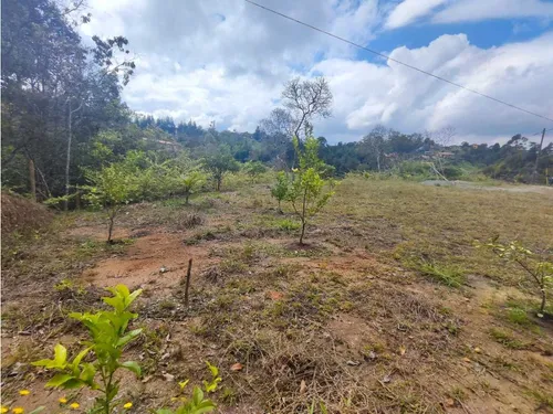 Lote En Rionegro Vereda La Playa