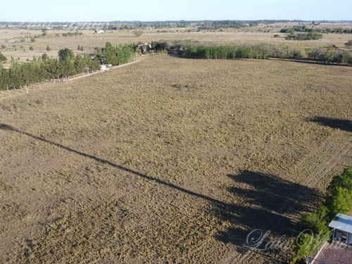 Imagen 7 de 10 de Venta - 7 Hectáreas En Canning