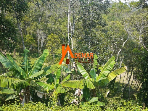 Imagem 15 de 30 de Chacara - Ch00095 - 68699428