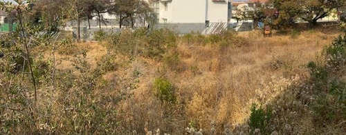 Imagen 4 de 6 de Terreno En Venta En Prado Largo