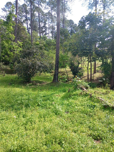 Lotes En Barrio Cercado La Cueva Del Teyu San Ignacio