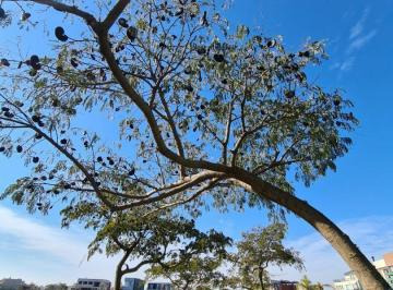 Financiacion!!!! Lote Al Lago En Venta - Nativas - Puertos Del Lago.