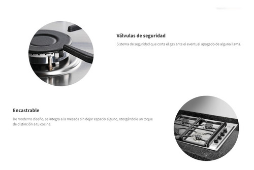 Anafe Multigas Longvie 4 H A6600xf Inoxidable De Empotrar