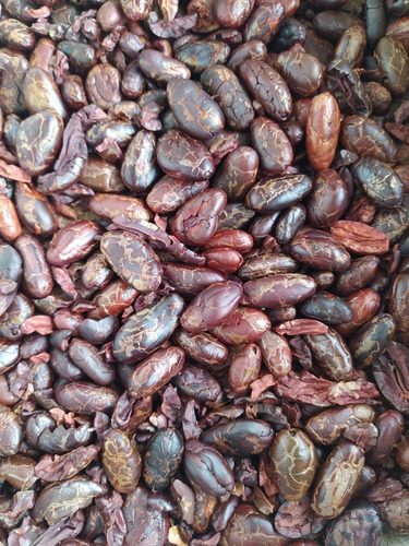 Chocolate Orgánico. X Libra. - Kg A - kg a $17000