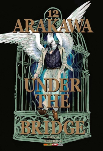 Arakawa Under The Bridge - Volume 12