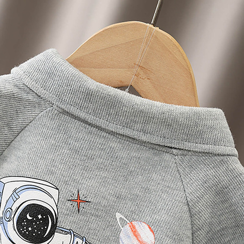 Conjunto Casual De Manga Larga Para Niños Con Estampado Gris 9-12 M