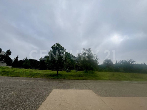 Espectacular Terreno Plano En Venta En Tepozcuautla, Cumbres De Sta. Fé