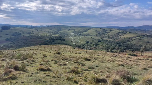 Campo De 80 Has En Paraje Carape Con Costa De Arroyo.