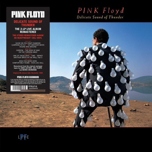 Pink Floyd Delicate Sound Of Thunder Vinilo Nuevo Envio Grat