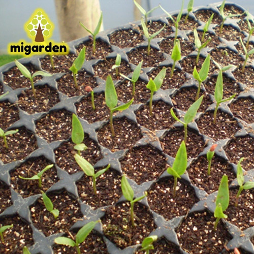 Sustrato Vermiculita Agricola Plantas Macetas 250gr