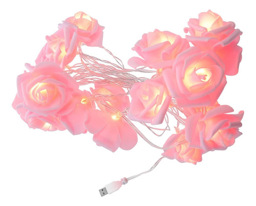 Vosarea 3 Metros Led Led Led Rose Lughtes Usb Luces De Luces