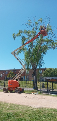 Imagen 2 de 5 de Plataforma Elevadora