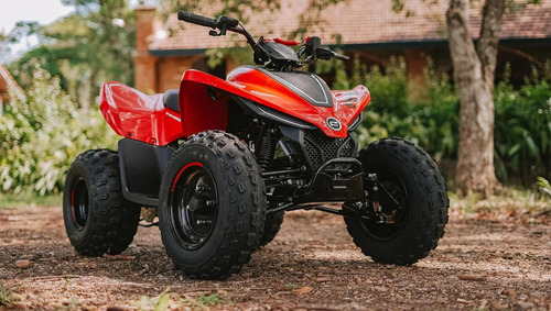 Quadriciclo Cfmoto Cforce 110 Lv 4 Tempos