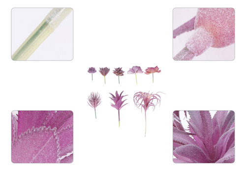 Set De 8 Plantas Suculentas Artificiales Violetas Para Decor