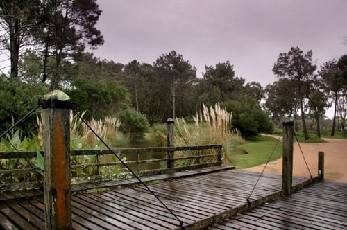 Imagen 5 de 16 de Terreno En Venta En Laguna Blanca