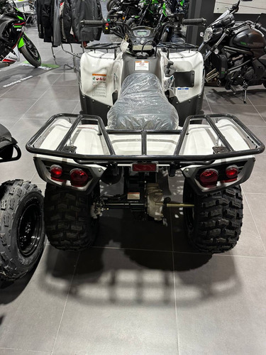 Imagen 10 de 17 de Kawasaki Brute Force 300 Cuatriciclo Ahora 12/18 No Fourtrax