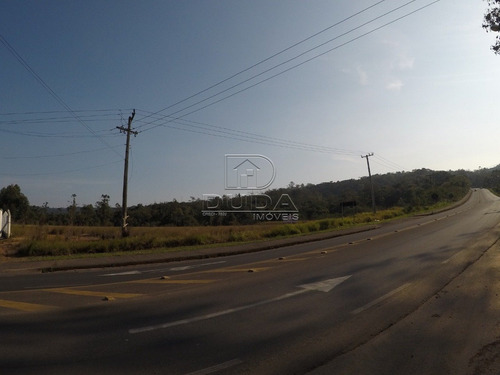 Imagem 1 de 6 de Terreno - Rio Maina - Ref: 22675 - V-22675