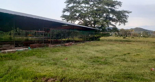 Imagen 2 de 13 de Finca En Recta Ayari Para La Cria De Pollos