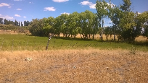 Venta Chacra De 12 Has. Trelew (chubut).