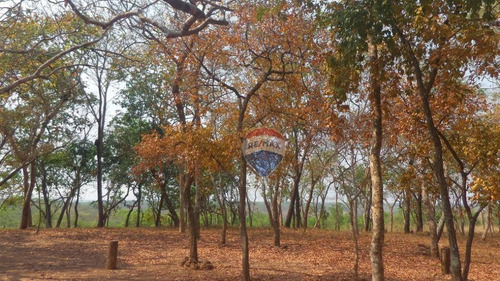 Imagem 22 de 22 de Chácara Á Venda - Várzea Grande-mt - Ch0009