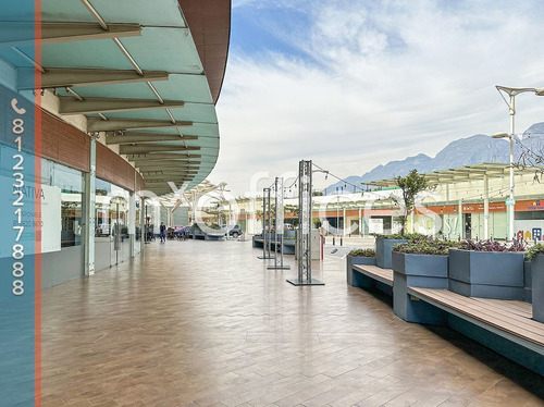 Renta De Local Comerciales De 288.48 M2 Al Poniente De San Pedro