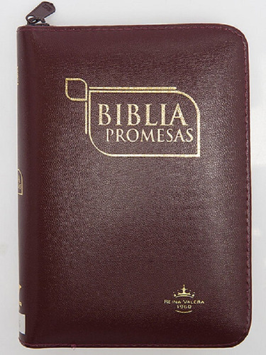 Biblia Reina Valera 1960 Cierre Canto Dorado Promesas Bordo