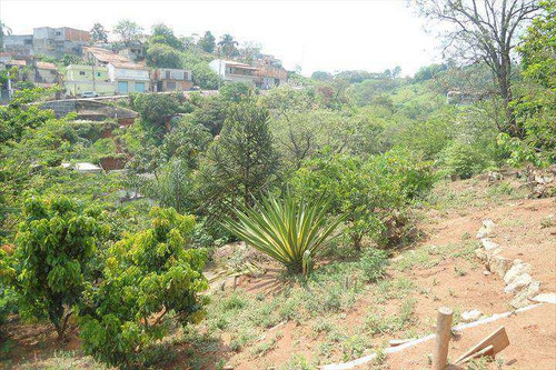 Imagem 28 de 30 de Casa Com 1 Dorm, Jardim Professor Benoá, Santana De Parnaíba - R$ 600 Mil, Cod: 49601 - V49601