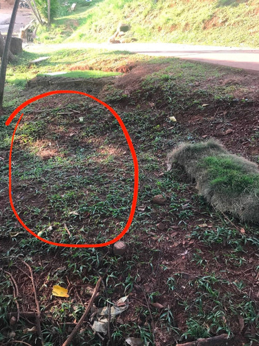 Imagen 4 de 6 de Vendo Lote Sencillo (cementerio Jardines De La Aurora)