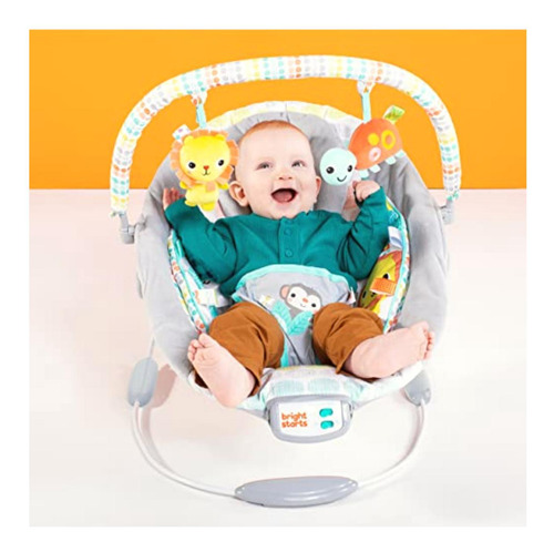 Bright Starts Comfy Baby Bouncer Soothing Vibrations Infant